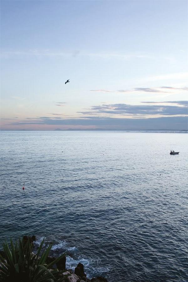 Grand H -F2, Face Vieux- Nice, Terrasse, Ascenseur, Climatisation, Terrace - Nice City Center Exterior foto