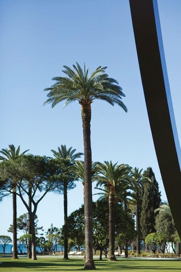 Grand H -F2, Face Vieux- Nice, Terrasse, Ascenseur, Climatisation, Terrace - Nice City Center Exterior foto